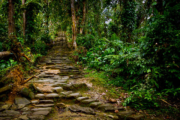 Start to climb to the Lost City in Colombia LOST CITY