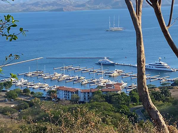 PICTURE OF THE WEEK marina papagayo