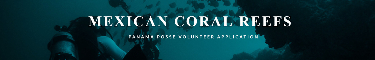 Mexican Coral Reefs Volunteer Application (Panama Posse)