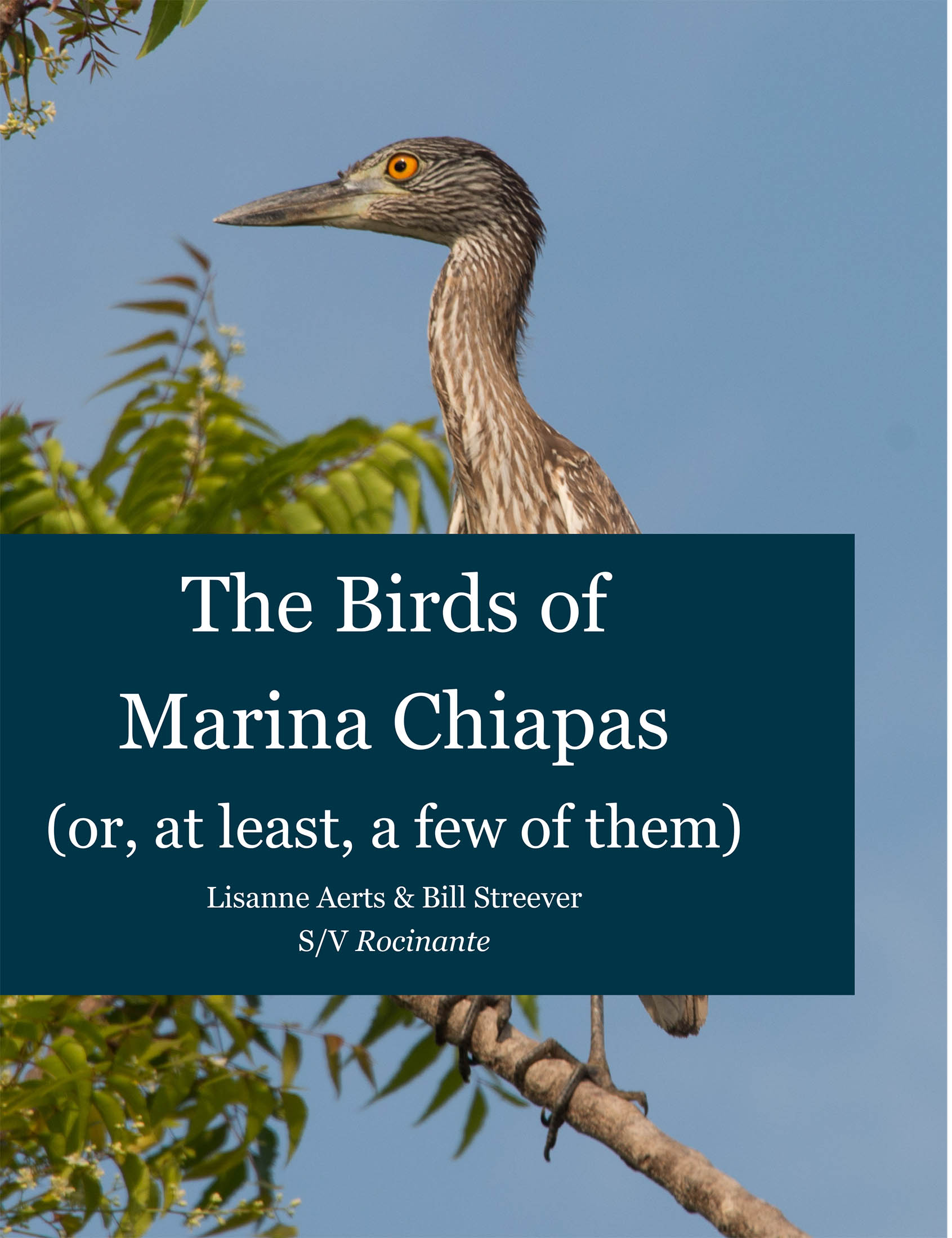 The Birds of Marina Chiapas (or, at least, a few of them) Lisanne Aerts & Bill Streever S/V Rocinante