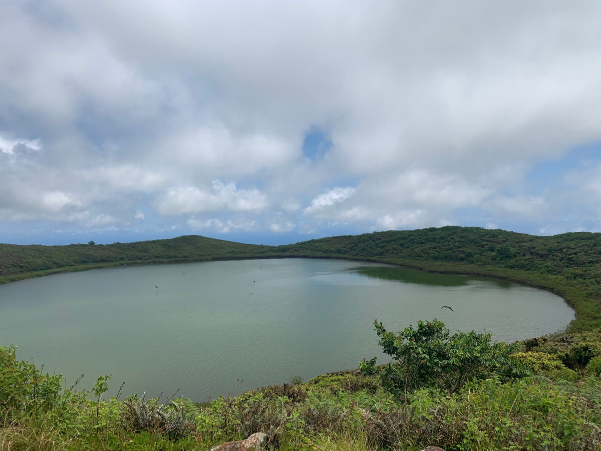 The largest fresh water lake in the archipelago, Laguna El Junco, is located in a crater in the highlands of San Cristóbal, in the southern half of the island. The lake harbors a large population of birdlife, but reaching the lake requires a short uphill walk. Nearby, La Galapaguera is a breeding station and sanctuary for giant tortoises.