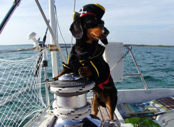 Sailing with pets in Central America 