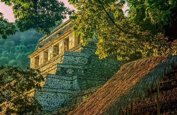 Palenque also anciently known as Lakamha “Big Water” , was a Maya city state in southern Mexico that flourished in the 7th century. The Palenque ruins date from ca. 226 BC to ca. 799 AD. After its decline, it was overgrown by the jungle of cedar, mahogany, and sapodilla trees, but has since been excavated and restored with an onsite museum. It is located near the Usumacinta River in the Mexican state of Chiapas resides at 150 meters (490 ft) above sea level.