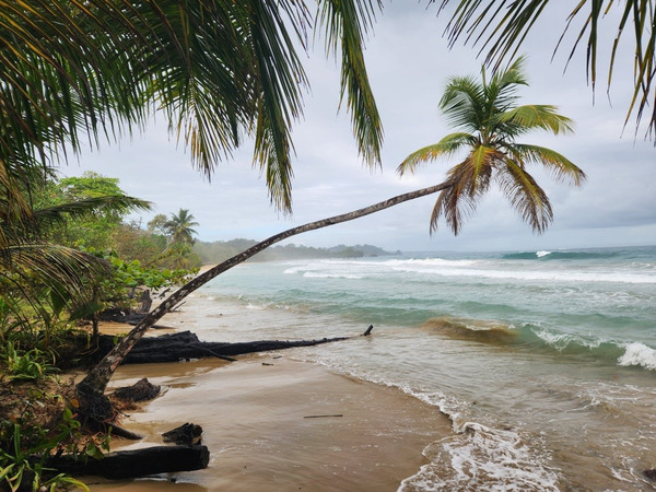 Resort Beach in Bocas del Toro Panama
