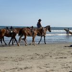 RIde horses on the beach 