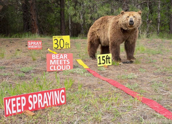 Bear Spray 